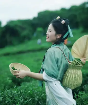 洋房漫游地图哪几家茶室最安静？老洋房下午茶推荐我踩了七次坑才敢说真话