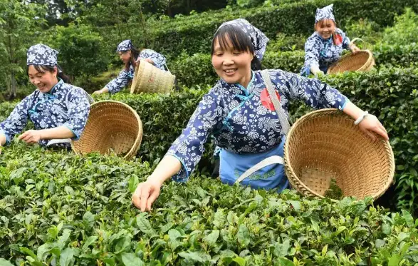 上海巨鹿路酒馆一个人怎么选？安静吧台与微醺推荐